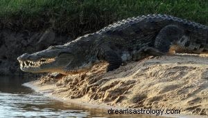 Apa Artinya Bermimpi Tentang Buaya? 