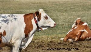 O que significa sonhar com vaca? 