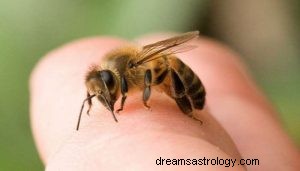 Τι σημαίνει να ονειρεύεσαι Bumblebees; 