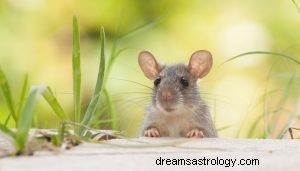 ネズミを夢見るとはどういう意味ですか？ 