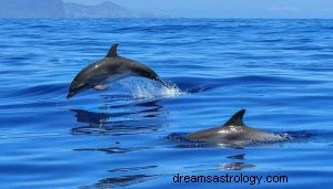 ¿Qué significa soñar con delfines? 