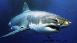 ¿Qué significa soñar con tiburones? 