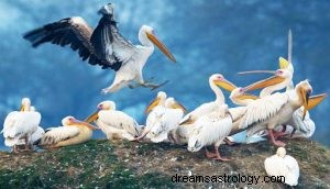 Symbolik des Pelikans 