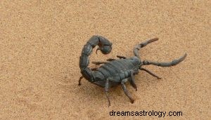 O que significa sonhar com escorpião? 
