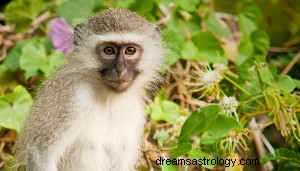 ¿Qué simboliza el tótem animal del mono? 