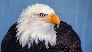Um símbolo de boa sorte Animal Eagle Totem 