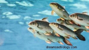魚の動物のトーテムの再生のシンボル 