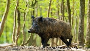 Wild zwijn dieren totem symboliek 