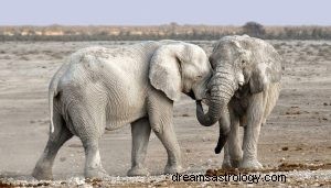 Συμβολισμός του ζώου ελέφαντα τοτέμ 