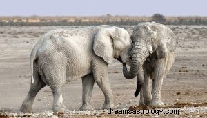 Symboliek van de dierlijke olifant totem 