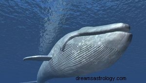 Was bedeutet es, von einem Wal zu träumen? 