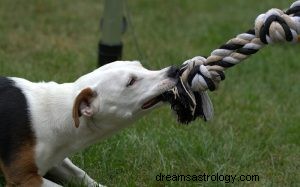 ¿Qué significa soñar con mordida de perro? 