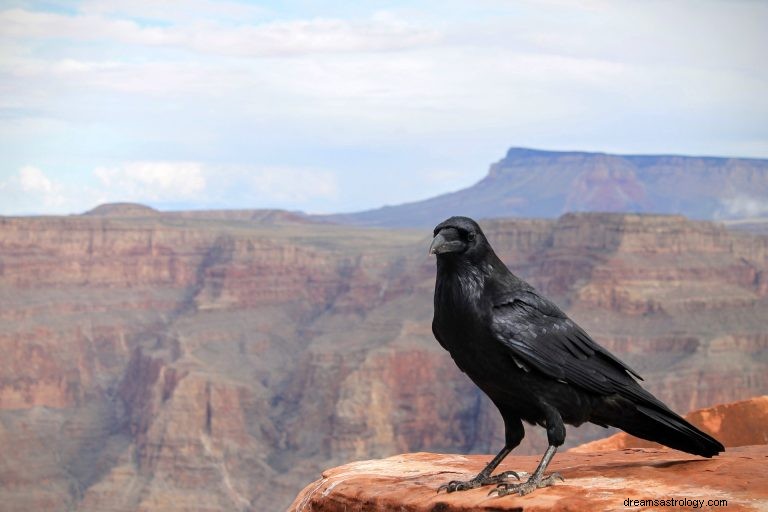 Que signifie rêver de corbeau ? 