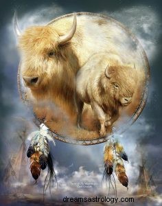 Buffalo and Bison:Spirit Animal Guide, Totem, Symbolika i Znaczenie 