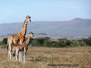 Giraffe:Spirit Animal Guide, Totem, Symbolik und Bedeutung 
