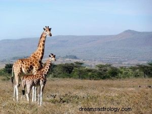 Giraffe:Spirit Animal Guide, Totem, Symbolism and Meaning 