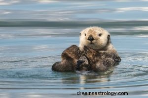 Cosa significa sognare una lontra marina? 
