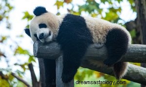 Vad betyder det att drömma om Panda? 