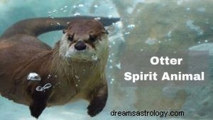 Otter:Spirit Animal Guide, Totem, Symbolism and Význam 