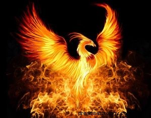Vad betyder det att drömma om en Phoenix? 