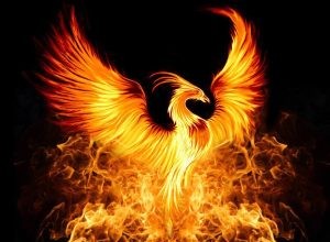 Hvad vil det sige at drømme om en Phoenix? 