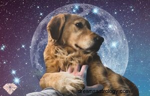 Pies:duchowe zwierzę, totem, symbolika i znaczenie 