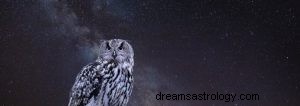 Owl:Spirit Animal Guide, Totem, Symbolism and Význam 