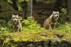 Ulv:Åndedyr, totem, symbolik og mening 