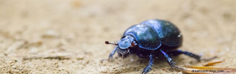 Scarab Beetle:Andedjur, totem, symbolik och mening 