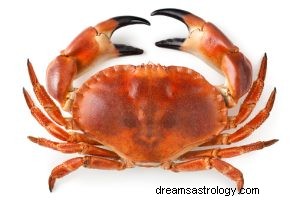 Vad betyder det att drömma om krabbor? 