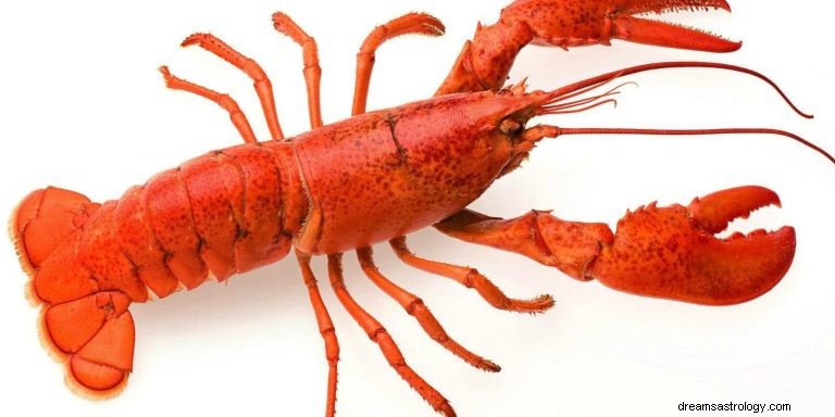Apa Artinya Bermimpi Tentang Lobster? 