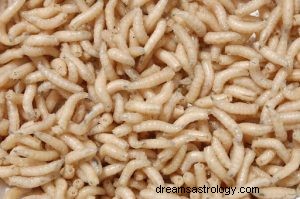 Hva betyr det å drømme om maggots? 
