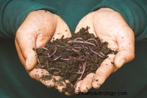 Was bedeutet es, über einen Regenwurm zu träumen? 