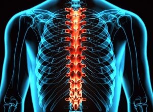 Vad betyder det att drömma om ryggrad? 