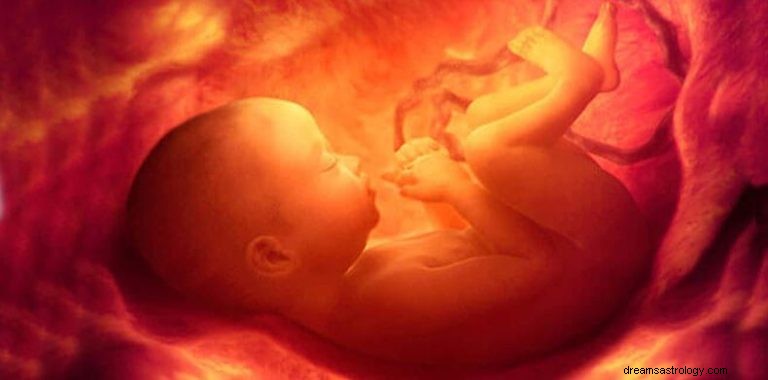 O que significa sonhar com feto? 