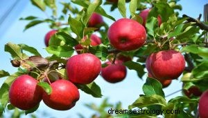 Vad betyder det att drömma om ett äpple? 