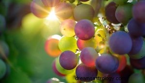 Hva betyr det å drømme om druer? 