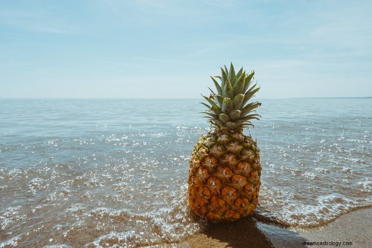 Cosa significa sognare ananas? 