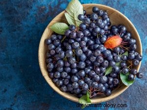 Apa Artinya Bermimpi Tentang Elderberry? 