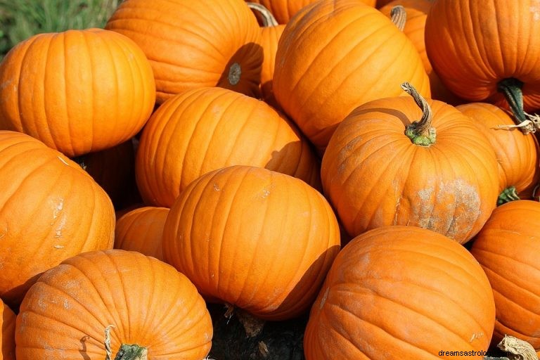 ¿Qué significa soñar con calabaza? 