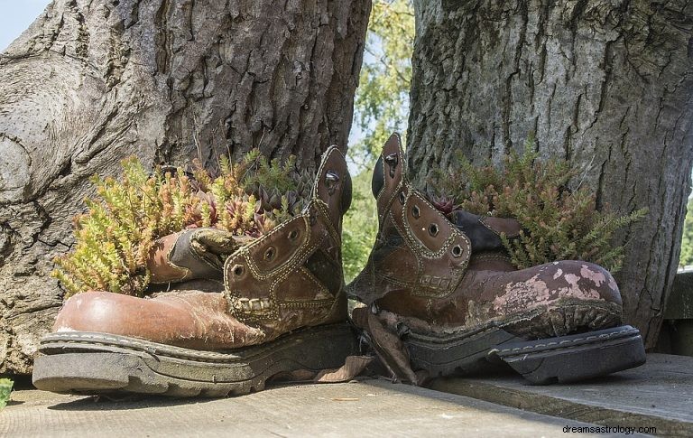 Τι σημαίνει να ονειρεύεσαι σπασμένα παπούτσια; 