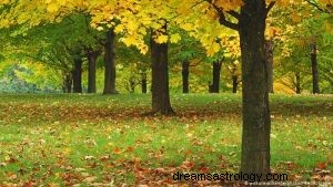 O que significa biblicamente sonhar com árvores? 