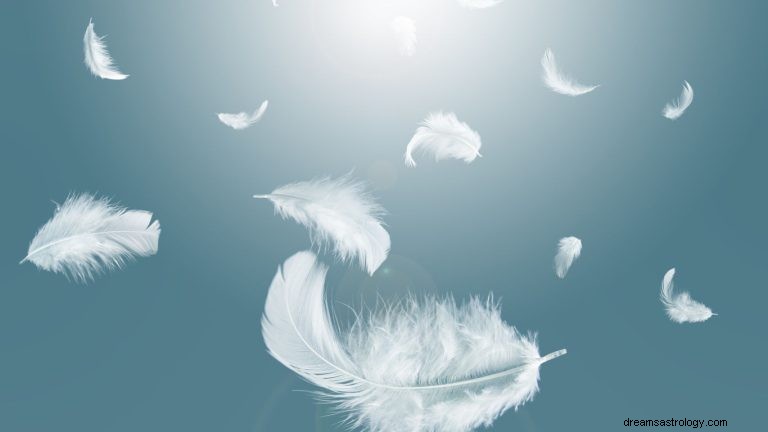 Hva betyr det å drømme om Feather? 