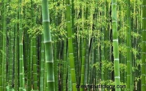 ¿Qué significa soñar con un bambú? 