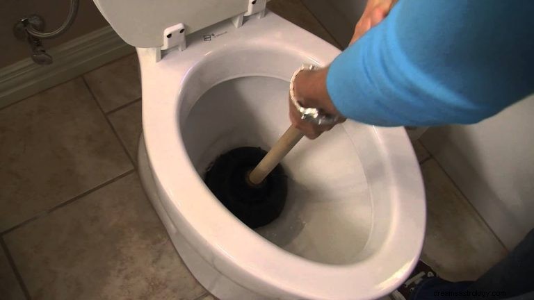 Hvad vil det sige at drømme om tilstoppet toilet? 