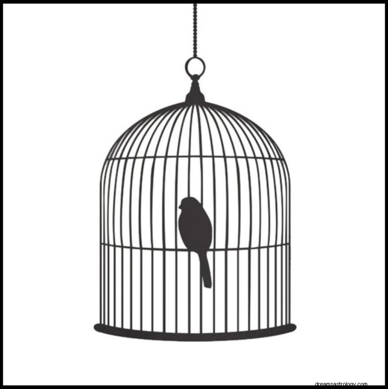 Cosa significa sognare un uccello in gabbia? 