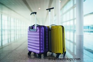Hva betyr det å drømme om bagasje? 