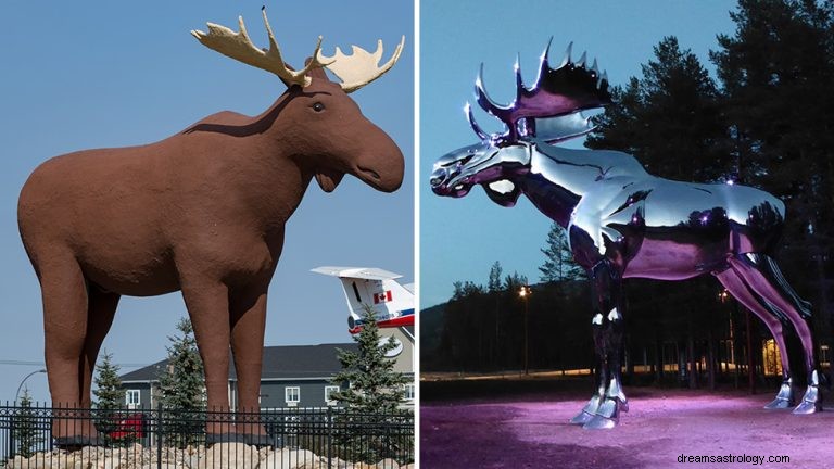 Moose and Elk:espíritu animal, tótem, simbolismo y significado 