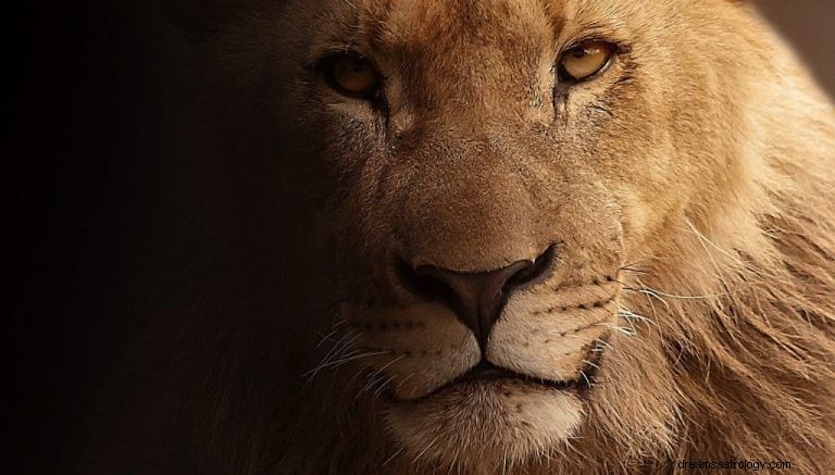Løve:Åndedyr, totem, symbolik og mening 