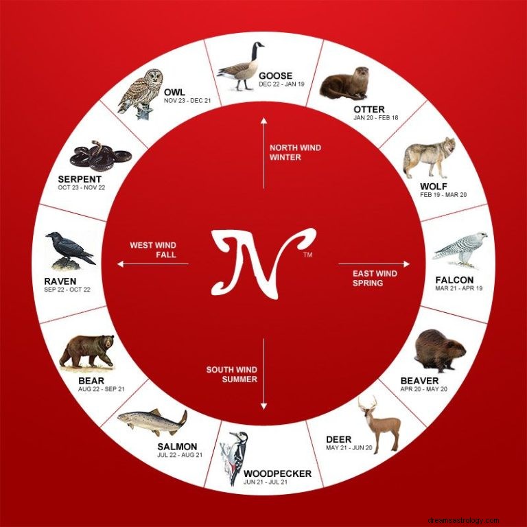 Conozca su signo del zodiaco nativo americano y la astrología 